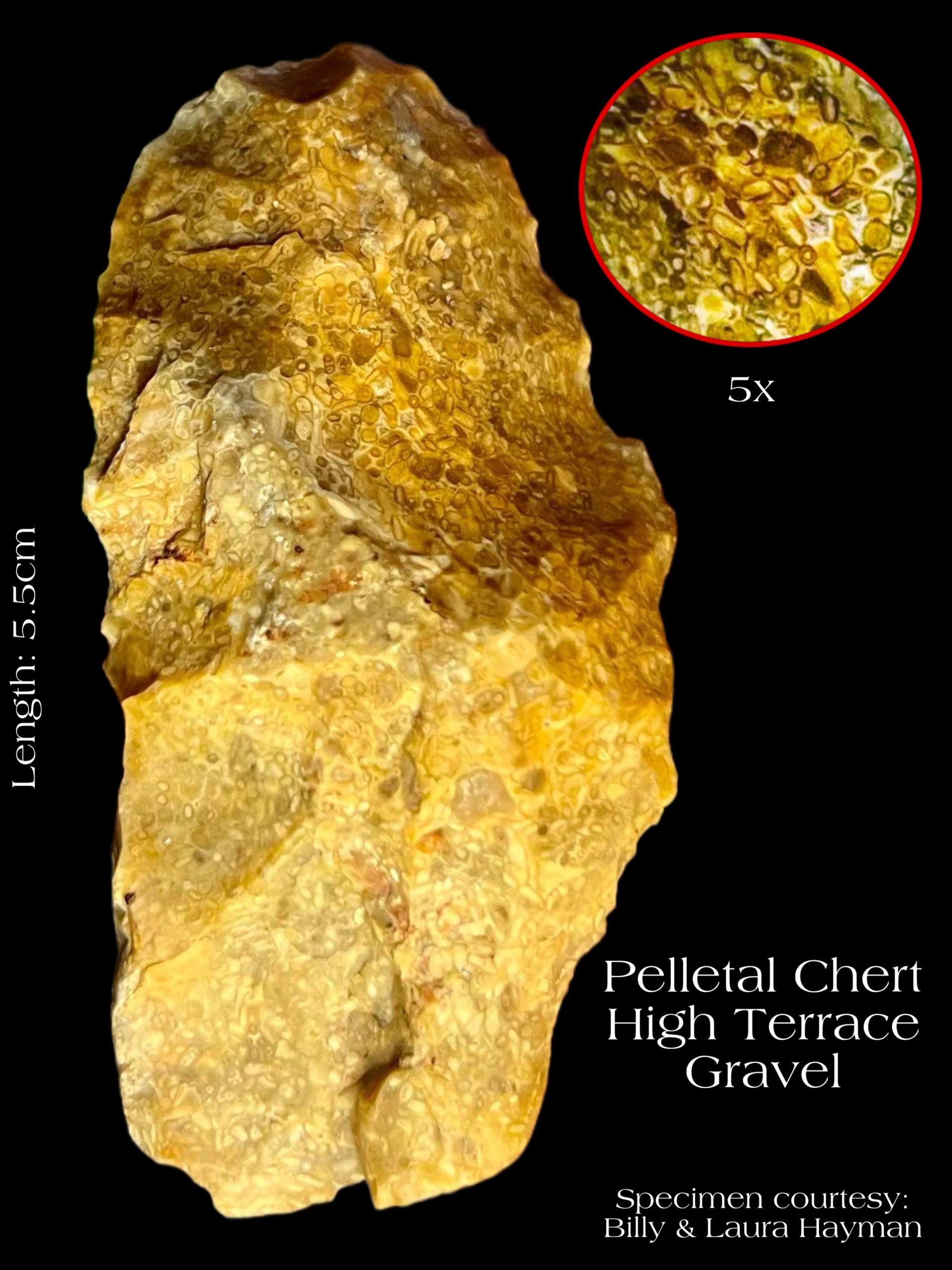 Pelt Rocks Fossil Friday – MDEQ
