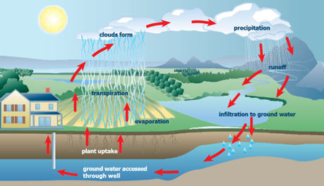 water cycle infographic