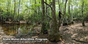 wetlands with title State Water Alteration Program